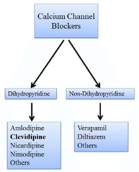 essential oil contraindicationors for calcium chanel|calcium channel blockers examples.